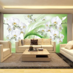 Wall murals white orchids on an abstract green background