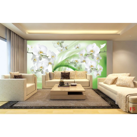 Wall murals white orchids on an abstract green background Wall murals white orchids on an abstract green background