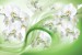 Wall murals white orchids on an abstract green background