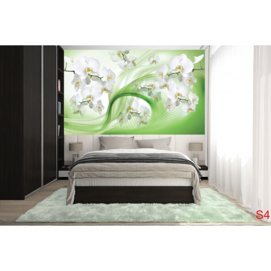 Wall murals white orchids on an abstract green background Wall murals white orchids on an abstract green background