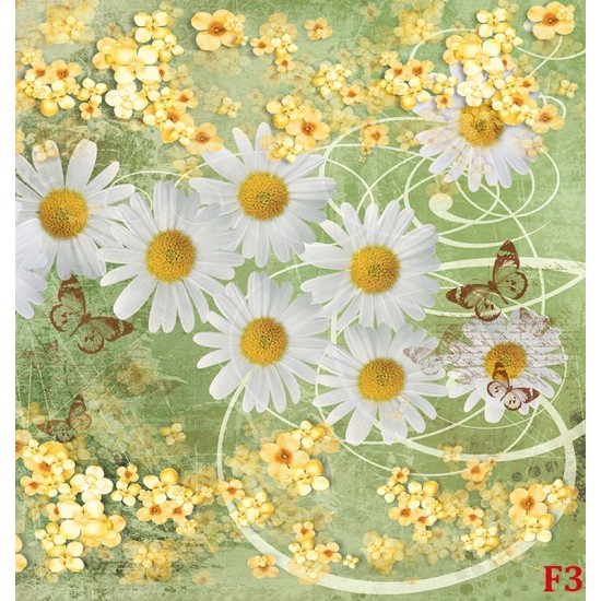 Photo murals Vintage composition with white daisies in green Photo murals Vintage composition with white daisies in green