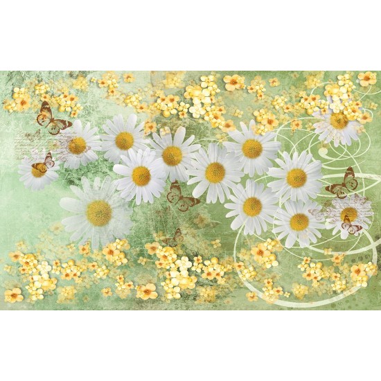Photo murals Vintage composition with white daisies in green Photo murals Vintage composition with white daisies in green