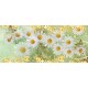 Photo murals Vintage composition with white daisies in green Photo murals Vintage composition with white daisies in green