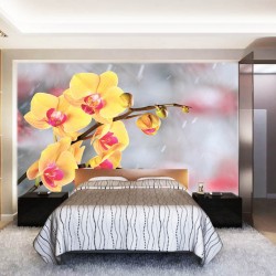 Photo murals yellow orchids on a gray blurred background