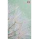 Wall mural wonderfully spread dandelion on a green background Wall mural wonderfully spread dandelion on a green background