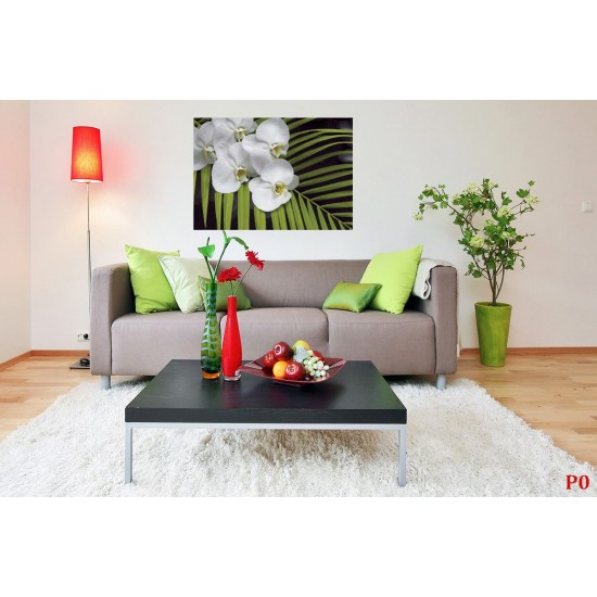 Wall mural orchid branch with green fern