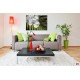 Wall mural orchid branch with green fern