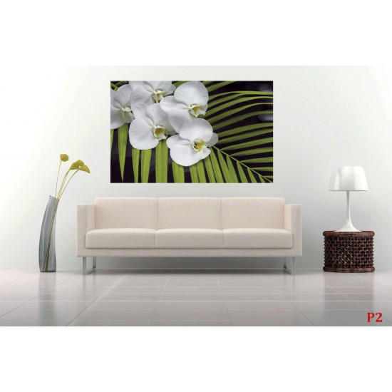 Wall mural orchid branch with green fern
