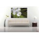 Wall mural orchid branch with green fern