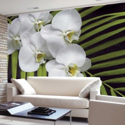 Wall mural orchid branch with green fern Wall mural orchid branch with green fern