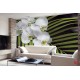 Wall mural orchid branch with green fern