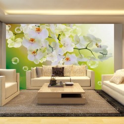 Wallpapers mural orchids with water drops on green background
