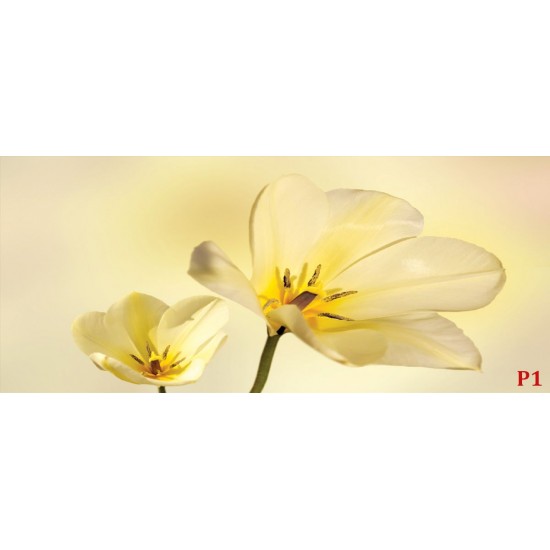 Wallpapers mural gentle flowers in yellow