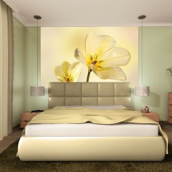 Wallpapers mural gentle flowers in yellow
