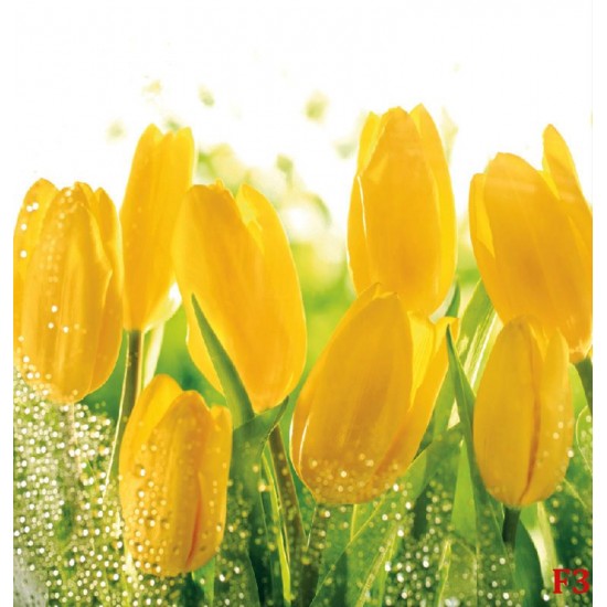 Wall mural yellow tulips with water drops Wall mural yellow tulips with water drops