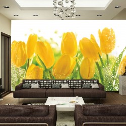 Wall mural yellow tulips with water drops