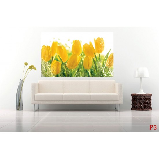 Wall mural yellow tulips with water drops Wall mural yellow tulips with water drops