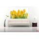 Wall mural yellow tulips with water drops Wall mural yellow tulips with water drops