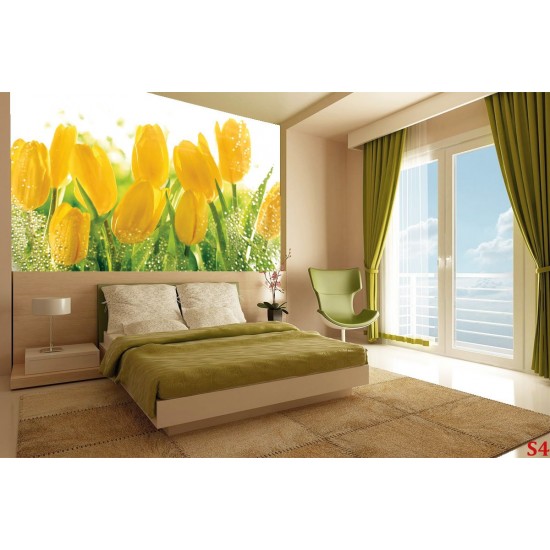 Wall mural yellow tulips with water drops Wall mural yellow tulips with water drops