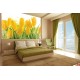 Wall mural yellow tulips with water drops Wall mural yellow tulips with water drops