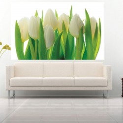 Wallpapers mural gentle tulips with green stems