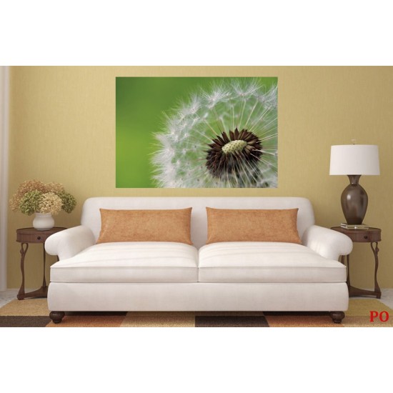 Photo mural dandelion in green background Photo mural dandelion in green background