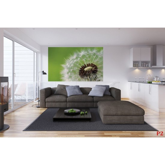 Photo mural dandelion in green background Photo mural dandelion in green background