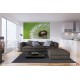 Photo mural dandelion in green background Photo mural dandelion in green background