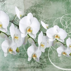Wallpapers mural orchids in green gamut with coating