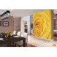 Photo mural yellow rose with water drops