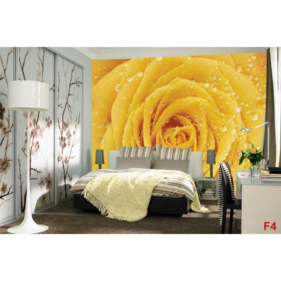 Photo mural yellow rose with water drops