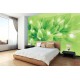 Wall mural composition lilium in green