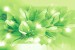 Wall mural composition lilium in green