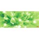 Wall mural composition lilium in green