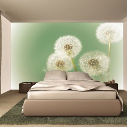 Wallpapers mural small delicate dandelion in green