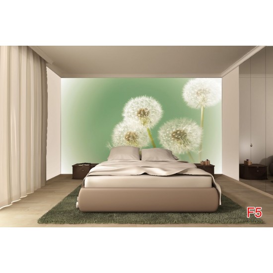 Wallpapers mural small delicate dandelion in green