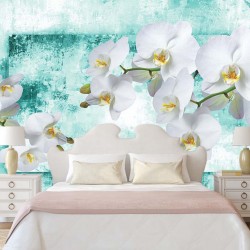 Wall mural wonderful white orchids on turquoise background