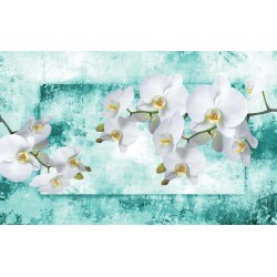 Wall mural wonderful white orchids on turquoise background