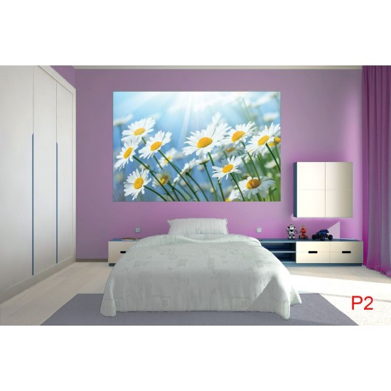 Wall mural sunny white daisies