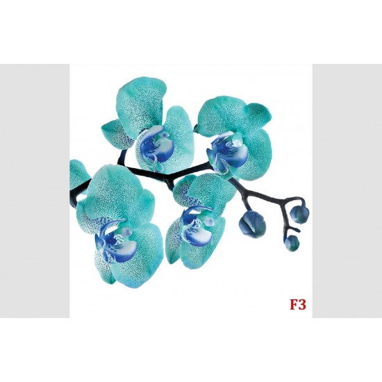 Wall mural spotted branch blue orchid Wall mural spotted branch blue orchid