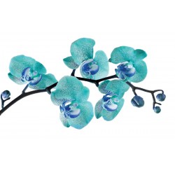 Wall mural spotted branch blue orchid