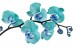 Wall mural spotted branch blue orchid