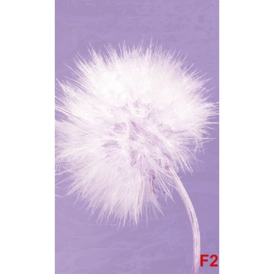 Wall murals delicate dandelions on blue and purple background - 2 colors Wall murals delicate dandelions on blue and purple background - 2 colors