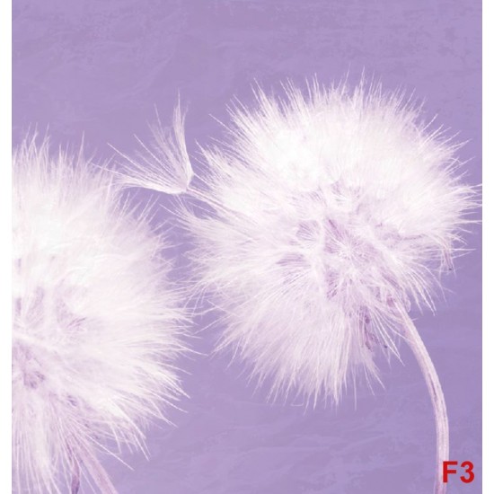 Wall murals delicate dandelions on blue and purple background - 2 colors Wall murals delicate dandelions on blue and purple background - 2 colors