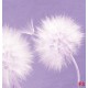 Wall murals delicate dandelions on blue and purple background - 2 colors Wall murals delicate dandelions on blue and purple background - 2 colors