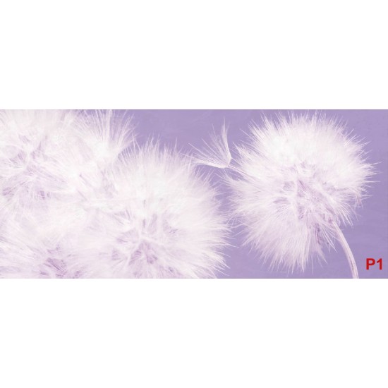 Wall murals delicate dandelions on blue and purple background - 2 colors Wall murals delicate dandelions on blue and purple background - 2 colors