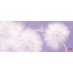 Wall murals delicate dandelions on blue and purple background - 2 colors Wall murals delicate dandelions on blue and purple background - 2 colors