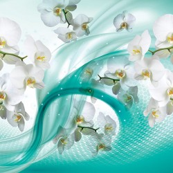 Wall murals white orchids on abstract turquoise basis 2