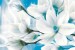 Photo Wall murals abstract composition with magnolia macro blue