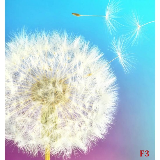 Wall mural white dandelion with colorful multi color background Wall mural white dandelion with colorful multi color background